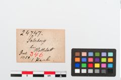Etiketten zu Glasmelonenperle (NHMW-PRAE-024747)